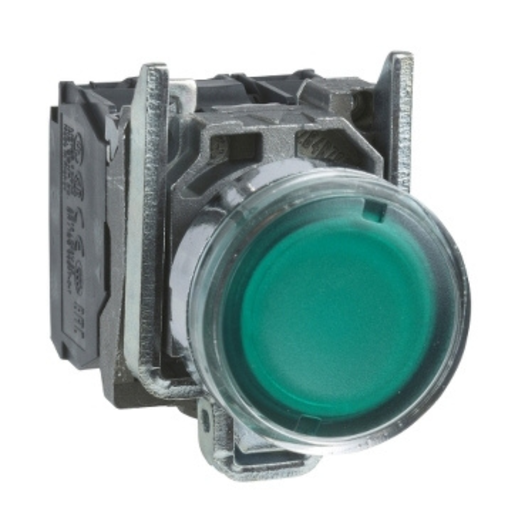 PILOTO VERDE TEE