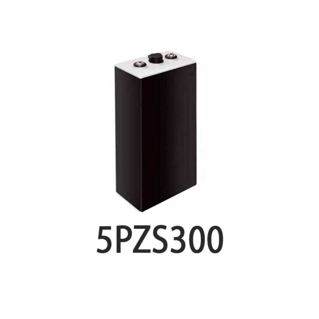 VASO TRACCION 5PZS300