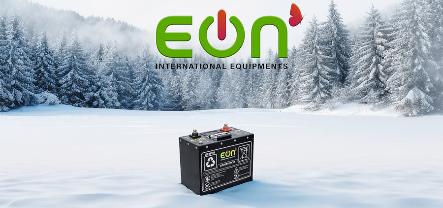 Quienes somos – EON International